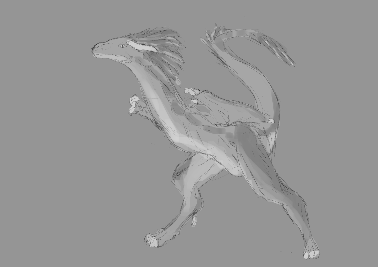 My initial sketch for a fast flightltess dragon.